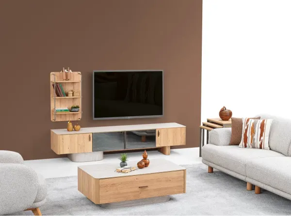 Omega Televizyon Ünitesi