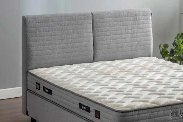 Silver Voyage Başlık