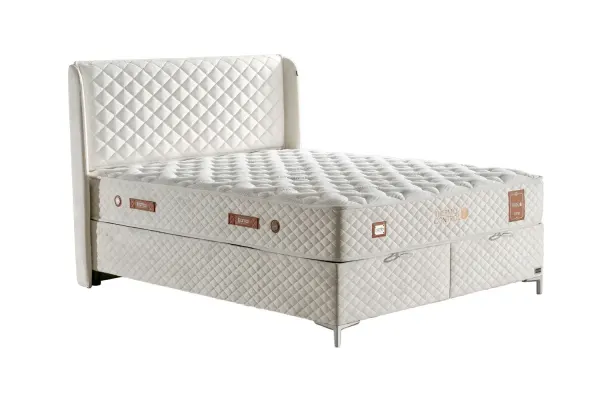 Thermo Control Başlık